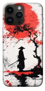 Чехол на Apple iPhone 14 Pro Max (6.7") Дух Японии фото 1 из 1