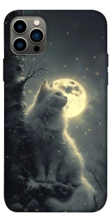Чохол на Apple iPhone 12 Pro (6.1") Кіт під місяцем фото 1 з 1