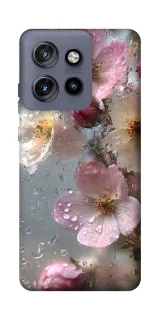 Чохол на Motorola Edge 50 Neo Flowers v10 фото 1 з 1