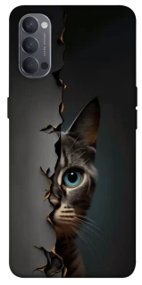 Чехол на Oppo Reno 4 Кот-подглядыватель v2 фото 1 из 1