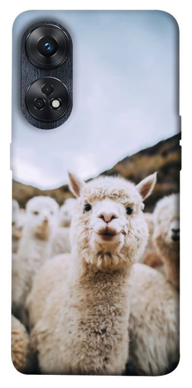 Чохол на Oppo Reno 8T 4G Лама фото 1 з 1