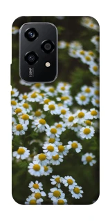 Чехол на Honor 200 Lite Ромашки v13 фото 1 из 1