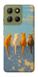 Чехол на Motorola Moto G15 4G cats on wall фото 1 Чехол на Motorola Moto G15 4G cats on wall фото 1 из 1