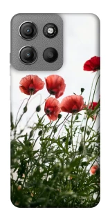 Чохол на Motorola Moto G15 Power Поле маків фото 1 з 1