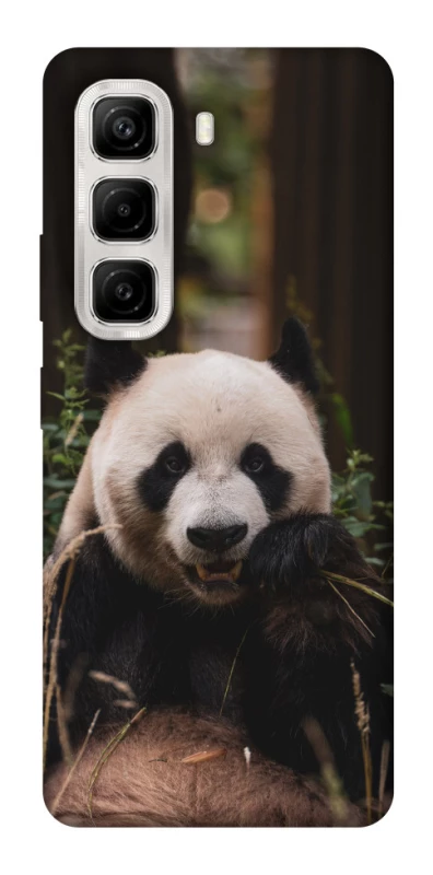 Чехол на Infinix Hot 50 4G Панда фото 1 из 1