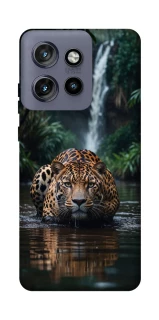 Чехол на Motorola Edge 50 Neo Leopard in water фото 1 из 1
