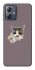 Чохол на Motorola Moto G54 cat matcha фото 1 з 1
