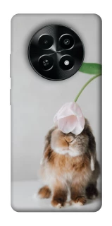 Чохол на Realme Narzo 70x Bunny фото 1 з 1