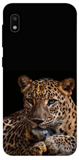 Чохол на Samsung Galaxy A10 (A105F) Leopard v4 фото 1 з 1