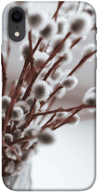 Чохол на Apple iPhone XR (6.1") Magic фото 1 з 1