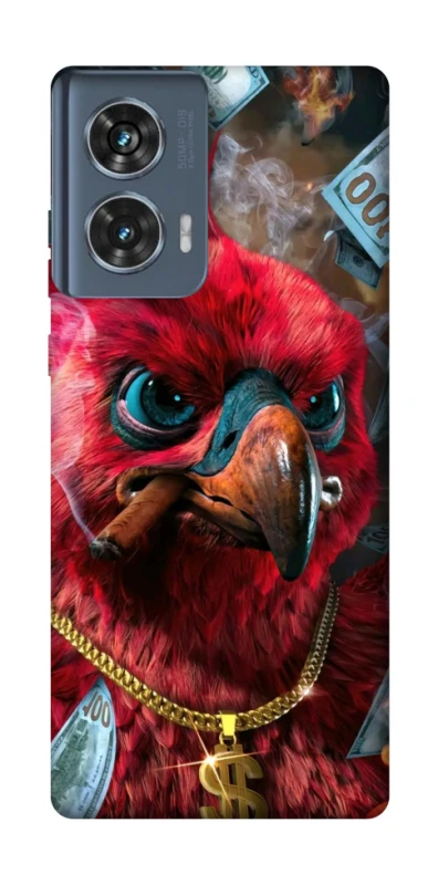 Чохол на Motorola Edge 50 Папуга фото 1 з 1
