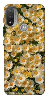 Чохол на Motorola Moto E20 Camomile фото 1 з 1