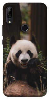 Чехол на Huawei P Smart Z Панда фото 1 из 1