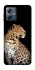 Чохол на Motorola Moto G54 Power Leopard v2 фото 1 з 1
