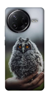 Чехол на Infinix Note 50 Pro Совёнок фото 1 из 1