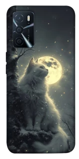 Чохол на Oppo A16s / A16 Кіт під місяцем фото 1 з 1