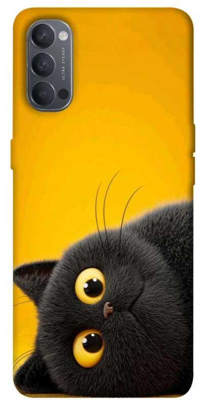 Чохол на Oppo Reno 4 This is Cat фото 1 з 1