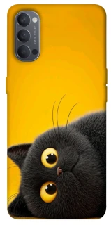 Чохол на Oppo Reno 4 This is Cat фото 1 з 1