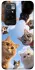 Чохол на Xiaomi Redmi 10 Cats фото 1 з 1