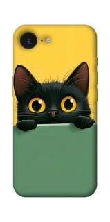 Чохол на Apple iPhone 17e (6.1") Black cat v2 фото 1 з 1