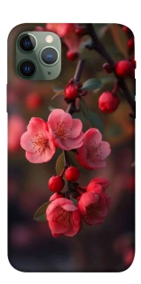 Чехол на Apple iPhone 11 Pro (5.8") Flowers v28 фото 1 из 1