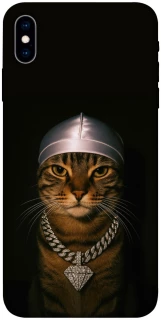 Чохол на Apple iPhone X (5.8") Cat in Bling фото 1 з 1