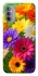 Чохол на Motorola Moto G31 Flowers v32 фото 1 з 1