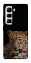 Чехол на Infinix Hot 50 Pro Leopard v4 фото 1 из 1