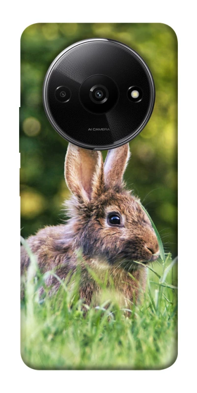 Чохол на Xiaomi Redmi A3 Кролики фото 1 з 1