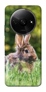Чохол на Xiaomi Redmi A3 Кролики фото 1 з 1