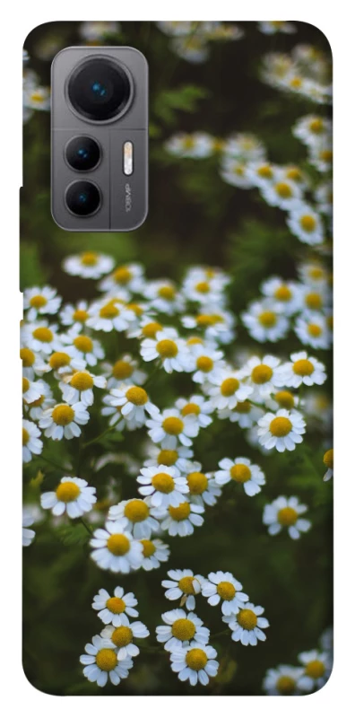 Чехол на Xiaomi 12 Lite Ромашки v13 фото 1 из 1