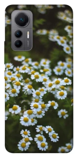 Чехол на Xiaomi 12 Lite Ромашки v13 фото 1 из 1