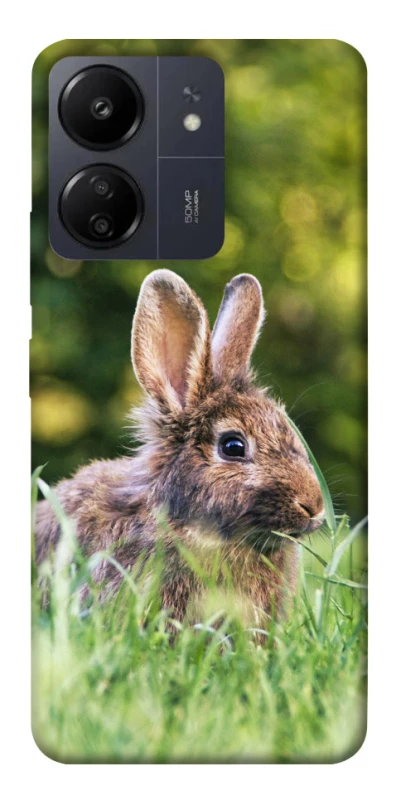 Чехол на Xiaomi Redmi 13C Кролики фото 1 из 1