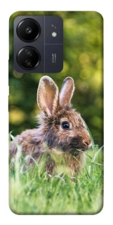 Чехол на Xiaomi Redmi 13C Кролики фото 1 из 1