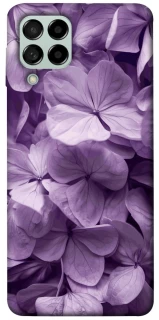 Чехол на Samsung Galaxy M53 5G Floral Symphony фото 1 из 1