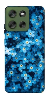 Чохол на Motorola Moto G56 5G Flowers v6 фото 1 з 1