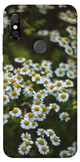 Чехол на Xiaomi Redmi Note 6 Pro Ромашки v13 фото 1 из 1