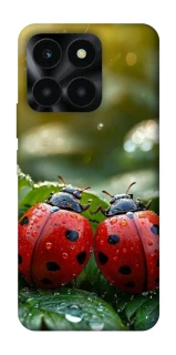 Чохол на Huawei Honor X6a Flowers v23 фото 1 з 1