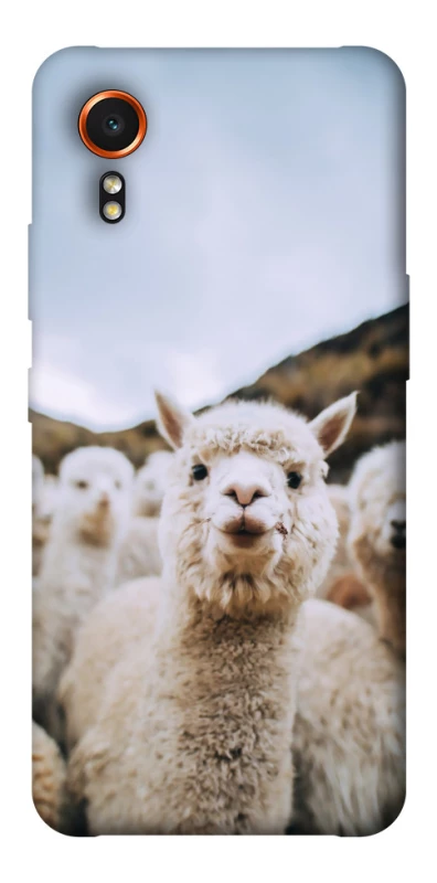 Чохол на Samsung Galaxy Xcover7 Лама фото 1 з 1
