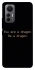 Чехол на Xiaomi 12 Lite House of the Dragon ver.9 фото 1 из 1