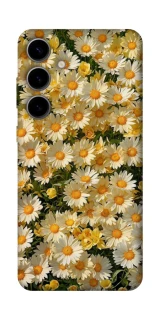 Чохол на Samsung Galaxy S25 FE Camomile фото 1 з 1
