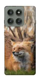 Чехол на Motorola Edge 60 Pro Лиса фото 1 из 1