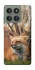 Чехол на Motorola Edge 60 Pro Лиса фото 1 из 1