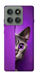 Чохол на Motorola Edge 60 Pro Кіт-підглядач фото 1 з 1