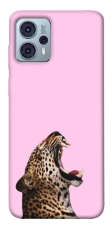 Чохол на Motorola Moto G23 Leopard Meow фото 1 Чохол на Motorola Moto G23 Leopard Meow фото 1 з 1