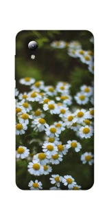 Чехол на ZTE Blade A3 (2019) Ромашки v13 фото 1 из 1
