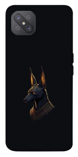Чохол на Oppo A92s Anubis фото 1 з 1