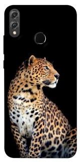 Чохол на Huawei Honor 8X Leopard v2 фото 1 з 1