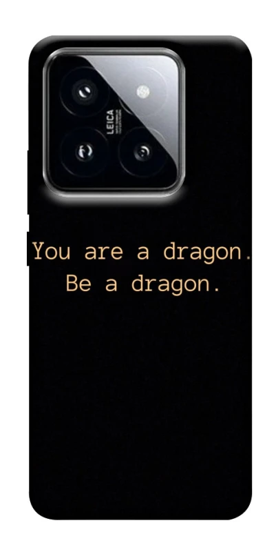 Чехол на Xiaomi 14 Pro House of the Dragon ver.9 фото 1 из 1