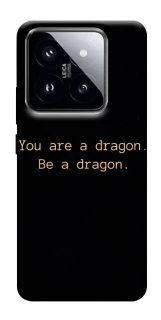 Чехол на Xiaomi 14 Pro House of the Dragon ver.9 фото 1 из 1